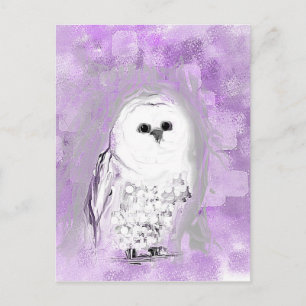 Cute Owl Postcard