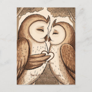 Cute Owl Valentine's Day Postcard