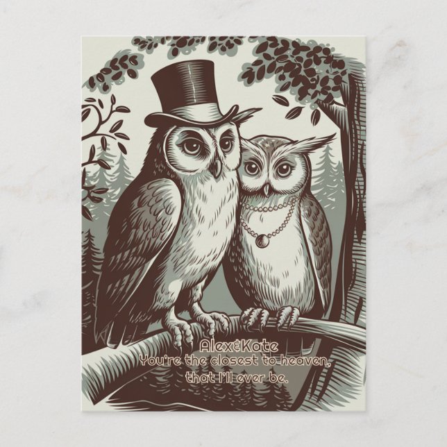 Cute Owl Valentine's Day Postcard (Front)