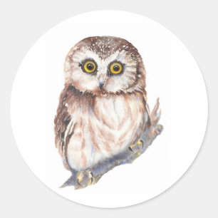 Cute Owl - Watercolor Bird Collection Classic Round Sticker