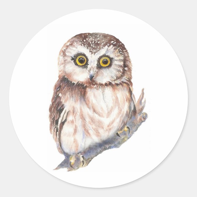 Cute Owl - Watercolor Bird Collection Classic Round Sticker (Front)