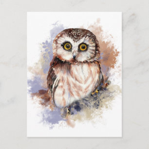 Cute Owl - Watercolor Bird Collection Postcard