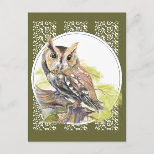 Cute Owl - Watercolor Bird, Wildlife, Nature Postcard