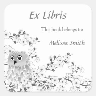 Cute Owl White Grey   Ex Libris Add Name Square Sticker