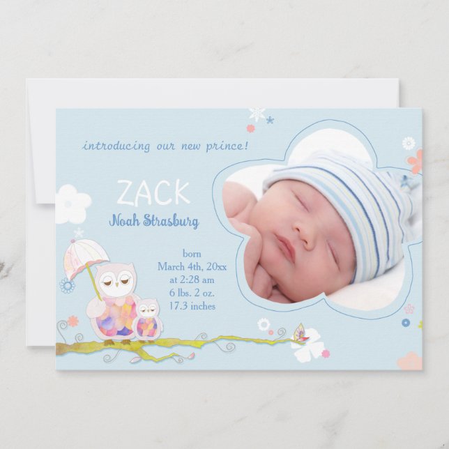 Cute Owls Blue Baby Boy Photo Birth Announcement (Front)