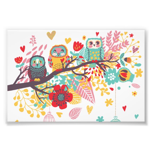 Cute Owls colourful floral hearts background Photo Print (Front)