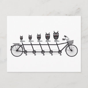 cute owls on tandem bicycle postcard