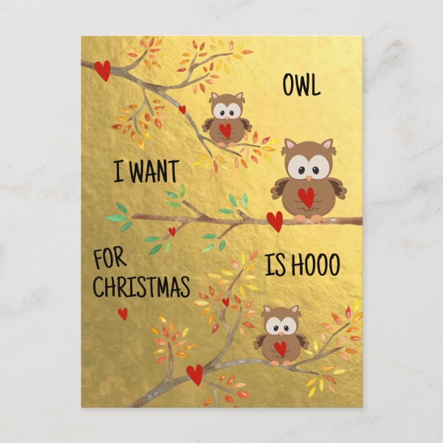 Cute Owls | Owl I Want For Christmas Is Hooo  Holiday Postcard (Front)