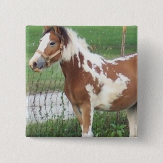 Cute Paint Pony Pin (Front)