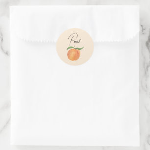 Cute Painted Peach Fruit Illustration Classic Round Sticker
