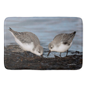 Cute Pair of Sanderlings Shares a Seaside Meal Bath Mat