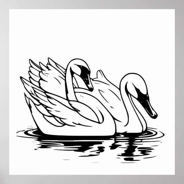 Cute Pair Of White Swan Line Art  Poster (Front)