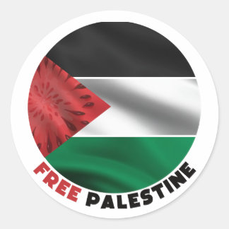 Cute palestine watermelon flag, freedom classic round sticker
