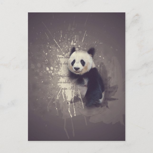 Cute Panda Abstract Postcard (Front)