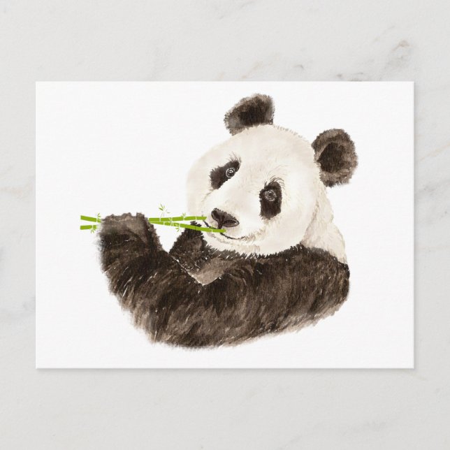 Cute Panda, Asian Bear, Watercolor Animal Postcard (Front)
