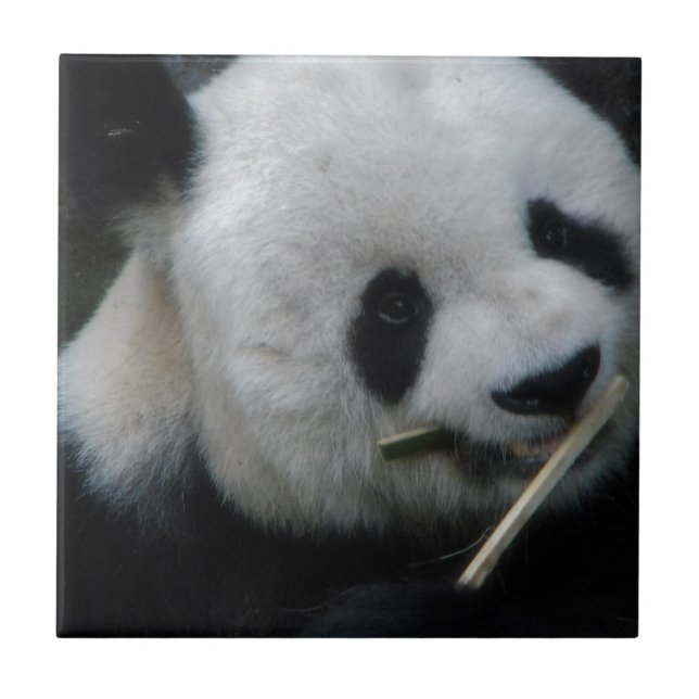 Cute Panda Bamboo Ceramic Tile (Front)