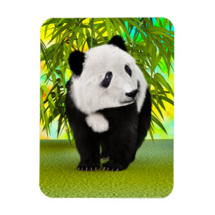 Cute Panda Bear Kawaii Animal Lover Perfect Gift Magnet