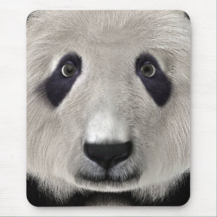 Cute Panda Bear Kawaii Animal Lover Perfect Gift Mouse Pad