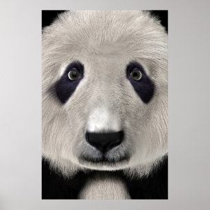 Cute Panda Bear Kawaii Animal Lover Perfect Gift Poster