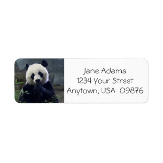 Cute Panda Bear, Personalised Return Address Label