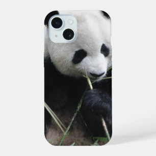 Cute Panda iPhone 15 Case
