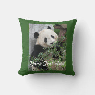 Cute Panda, Solid Green Back, Name, Square Cushion