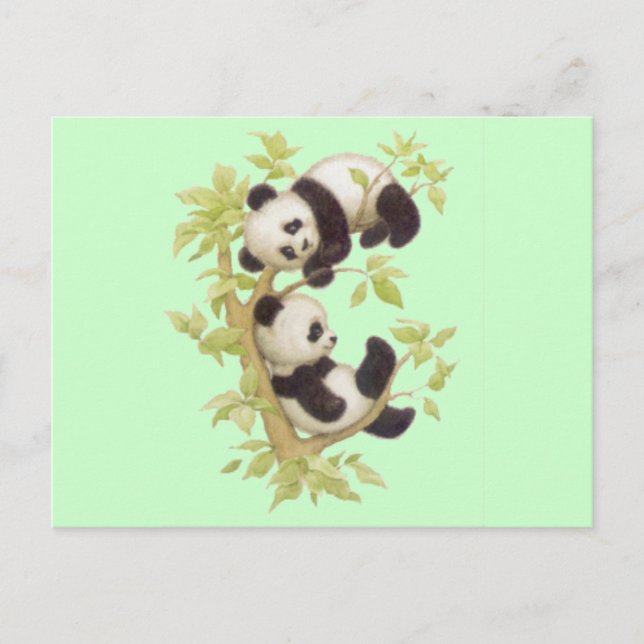 Cute Pandas Postcard (Front)