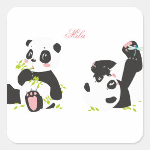 Cute pandas  square sticker