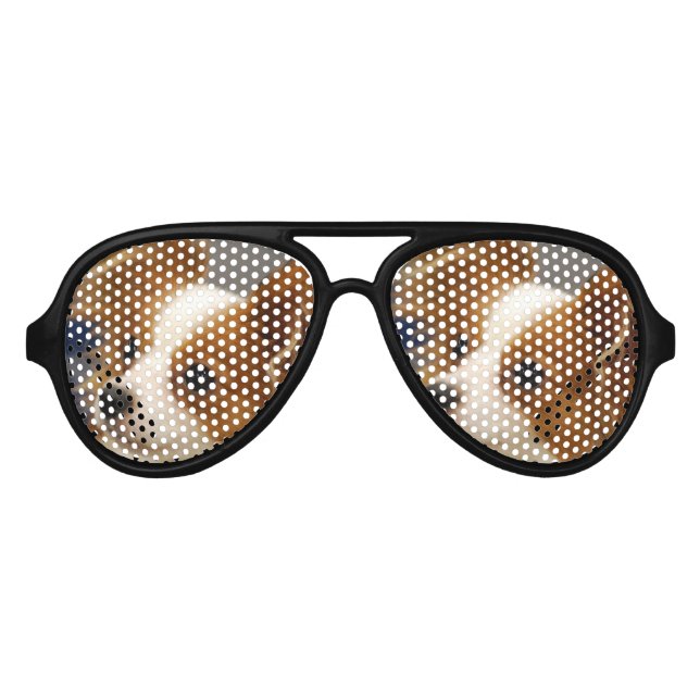 Cute Papillon Dog Aviator Sunglasses (Front)