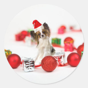 Cute Papillon Dog Christmas Santa Hat Classic Round Sticker
