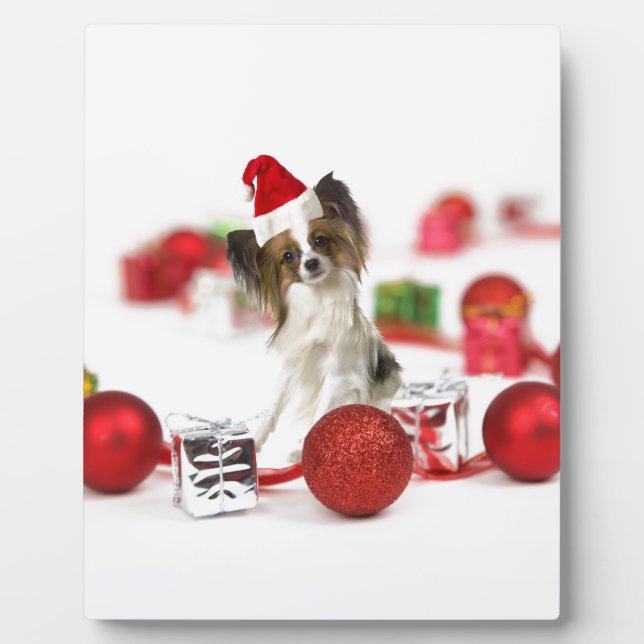 Cute Papillon Dog Christmas Santa Hat Plaque (Front)
