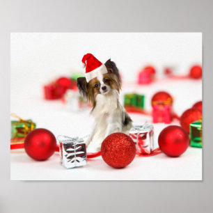 Cute Papillon Dog Christmas Santa Hat Poster