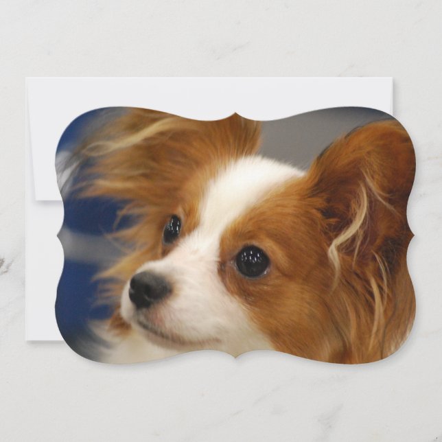 Cute Papillon Dog Invitation (Front)