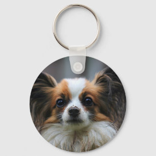 Cute papillon dog key ring