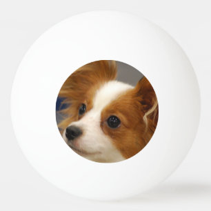 Cute Papillon Dog Ping Pong Ball
