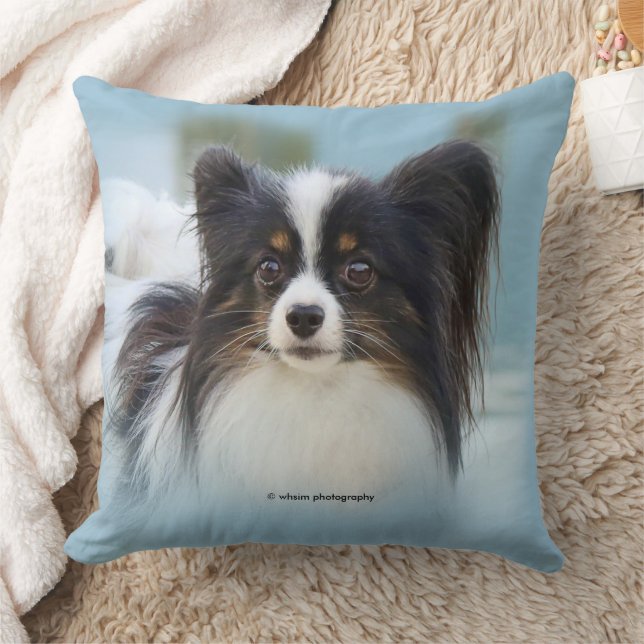 Cute Papillon Toy Spaniel Dog at the Dock Cushion (Blanket)