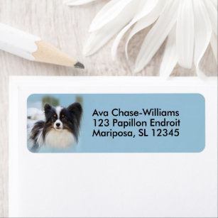 Cute Papillon Toy Spaniel Dog at the Dock Return Address Label