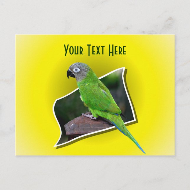 Cute Parrot Animal Customisable Postcard (Front)