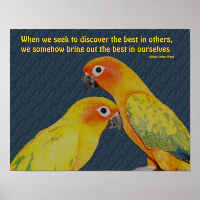 Cute Parrots Attitude Inspirational Quote Poster (Front)