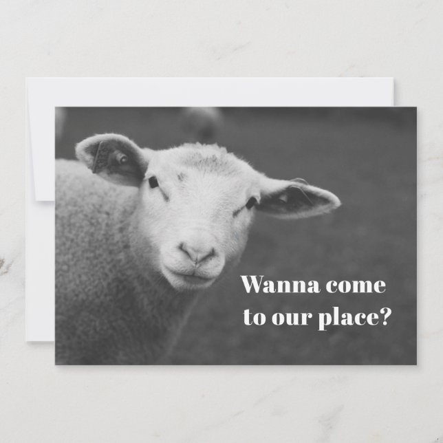 Cute Passover Invitation (Front)