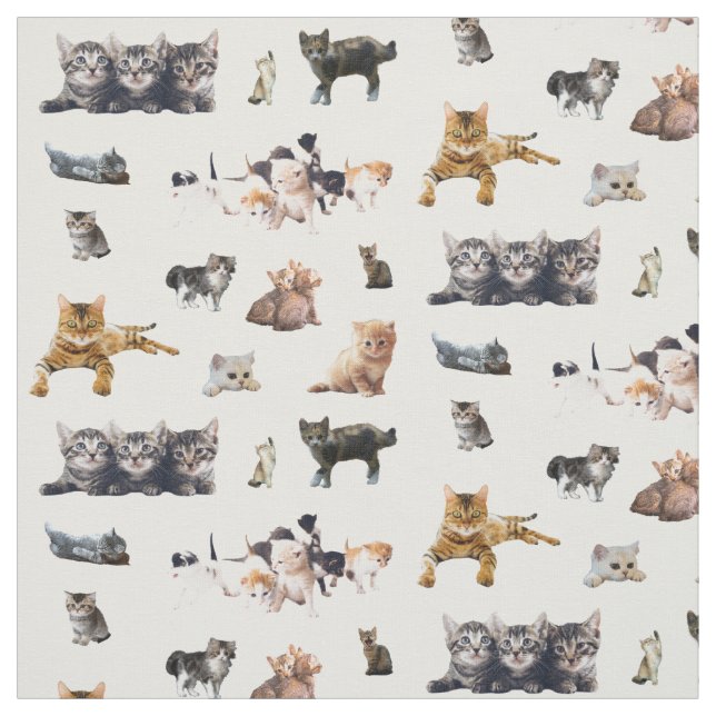 Cute pattern with photographs of Cats and kittens Fabric (Swatch)