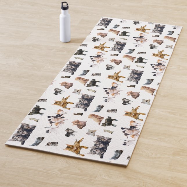 Cute pattern with photographs of Cats and kittens Yoga Mat (In Situ)