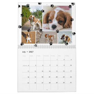 Cute Paw Prints Photo Collage Pets Calendar
