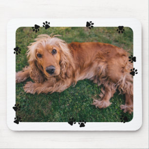 Cute Paw Prints White Border Pet Photo Mouse Pad