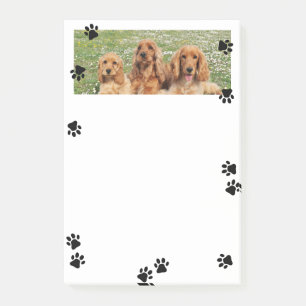 Cute Paw Prints Wide Pet Photo Post-it Notes