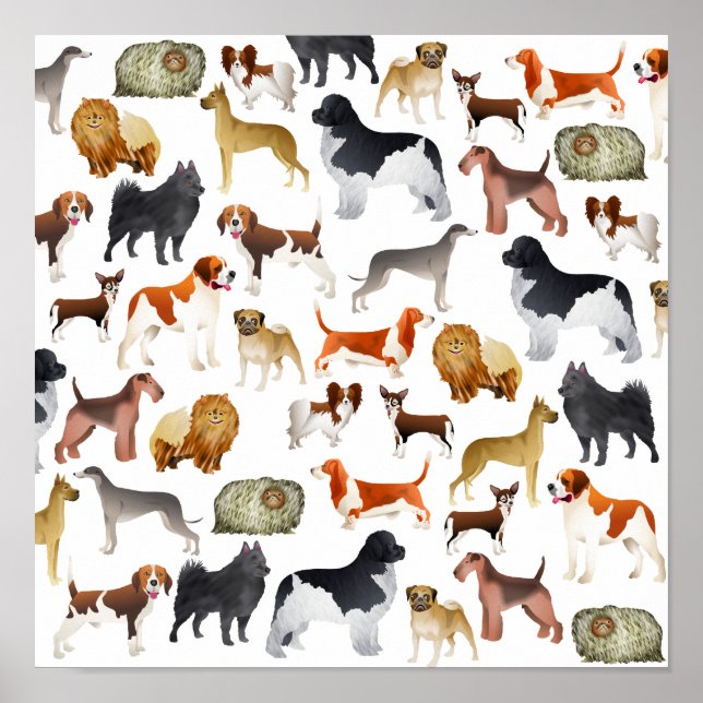 Cute Pedigree Pet Dog Wallpaper Design Poster (Front)
