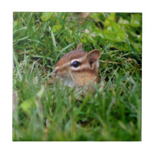 Cute Peeking Chipmunk Animal Ceramic Tile