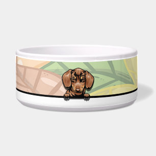 Cute Peeking Dachshund, food or drink