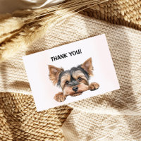 Cute peeking yorkie