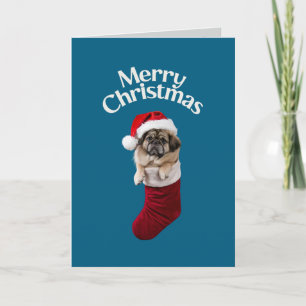 Cute Pekinese Christmas Holiday Card